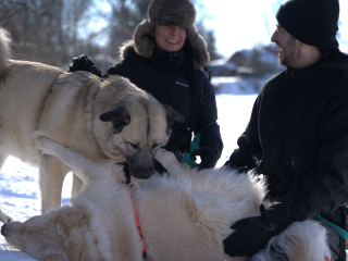 Opportunité d’acquisition d'actif REF#17105