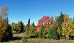 Entreprise en excavation et déneigement à vendre + terre de 18 acres + maison  REF# 16732