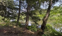 Terrain de 7 acres en Estrie bord de rivière pour Auberge 8 chambres REF#16985