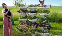Opportunité d'investissement Seed Stage dans une Agtech particulière REF#17090