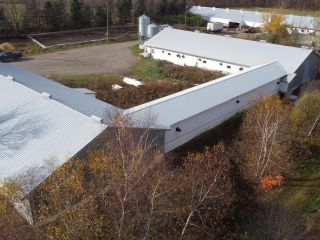 Ferme d'engraissement porcin. Porcelets, alimentation, transport et suivi vétérinaire assumé par l'intégrateur REF#16966