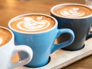 Café de quartier axé sur les boissons végétales de haute qualité REF#16954