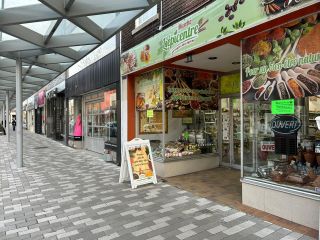 Commerce d'alimentation biologique et naturelle au cœur de Montréal REF#17071