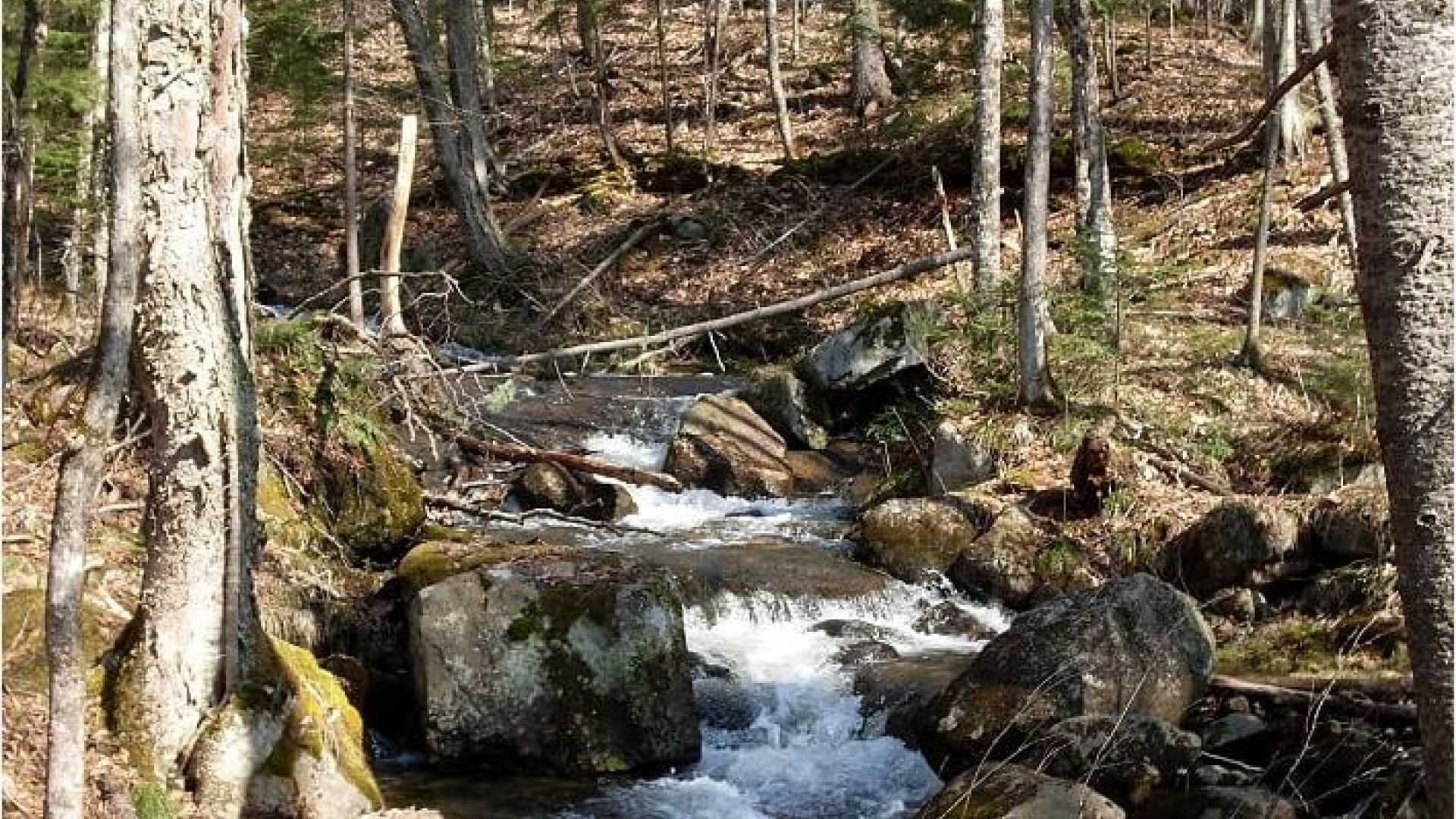 16058Superbes terrains Lac SainteMarie