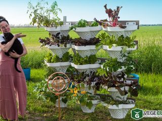 Opportunité d'investissement Seed Stage dans une Agtech particulière REF#17090