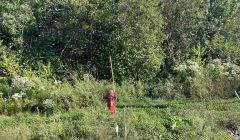 Terrain industriel à vendre, Saint-Apollinaire  REF#16962