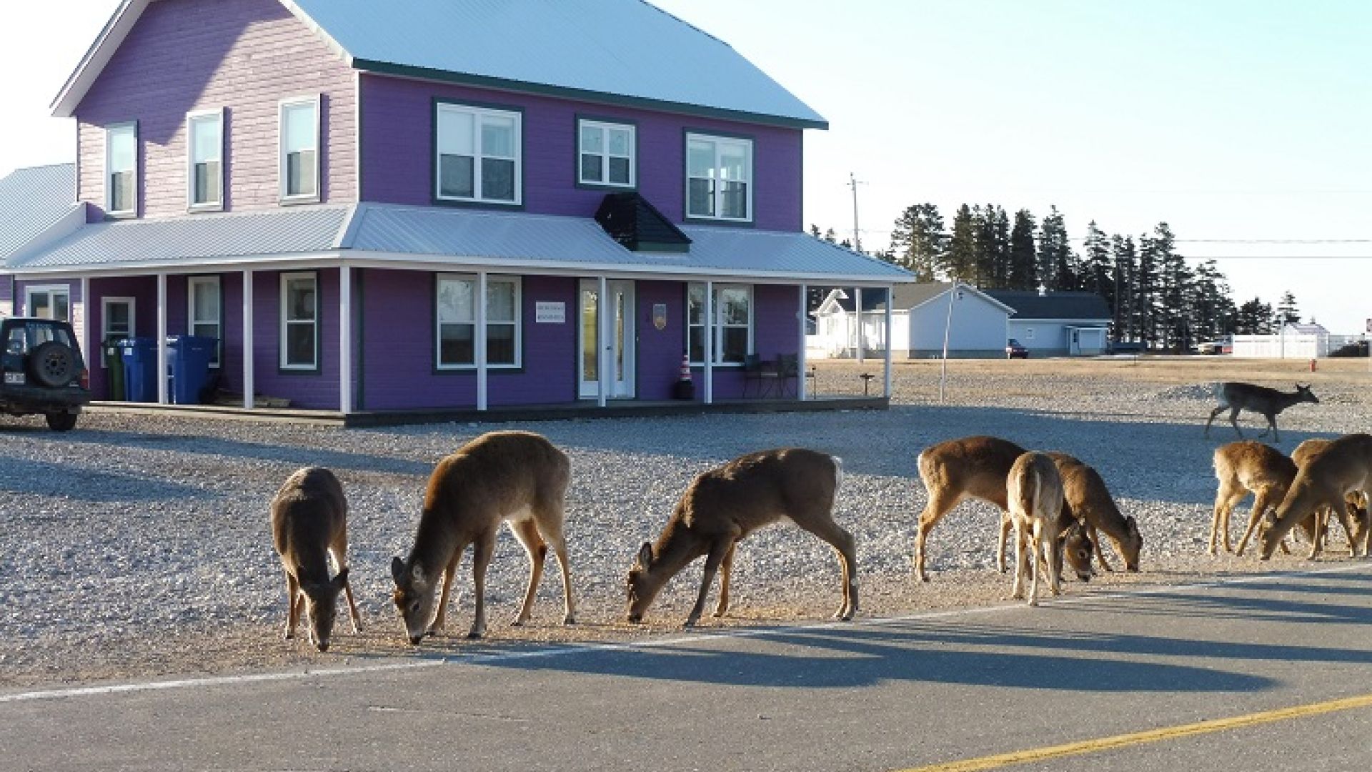 15938Gîte sur l'île d'Anticosti