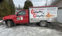 Camion cantine REF#17165