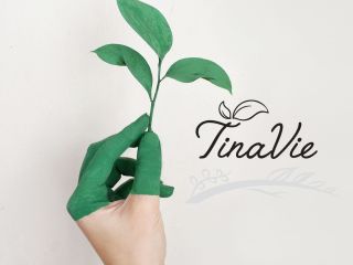 E-commerce (en ligne seulement) vente produits écologique et produit de base pour fabrication REF#16995